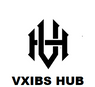 VXIBS HUB